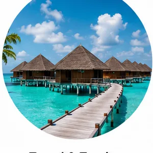 Travel and tourism digital solutions in India