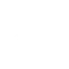 VINCORA Logo